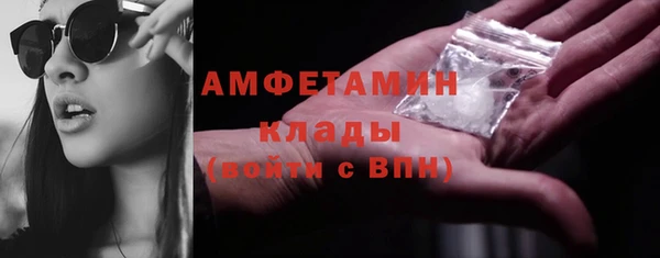 гашик Нея