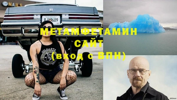 прущие грибы Бердск